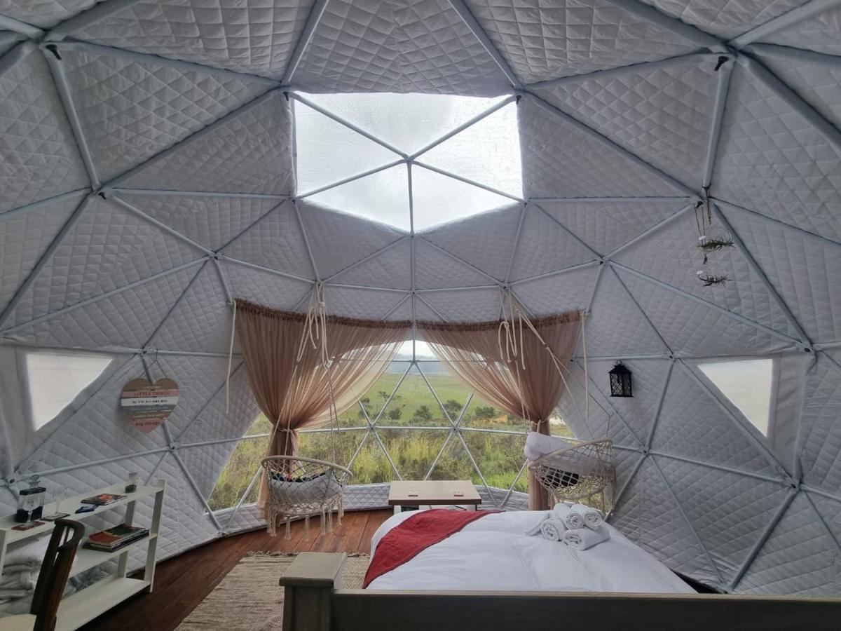 Pom Gratz - Ecodomes Hotel Hartebeesrivier Exterior photo